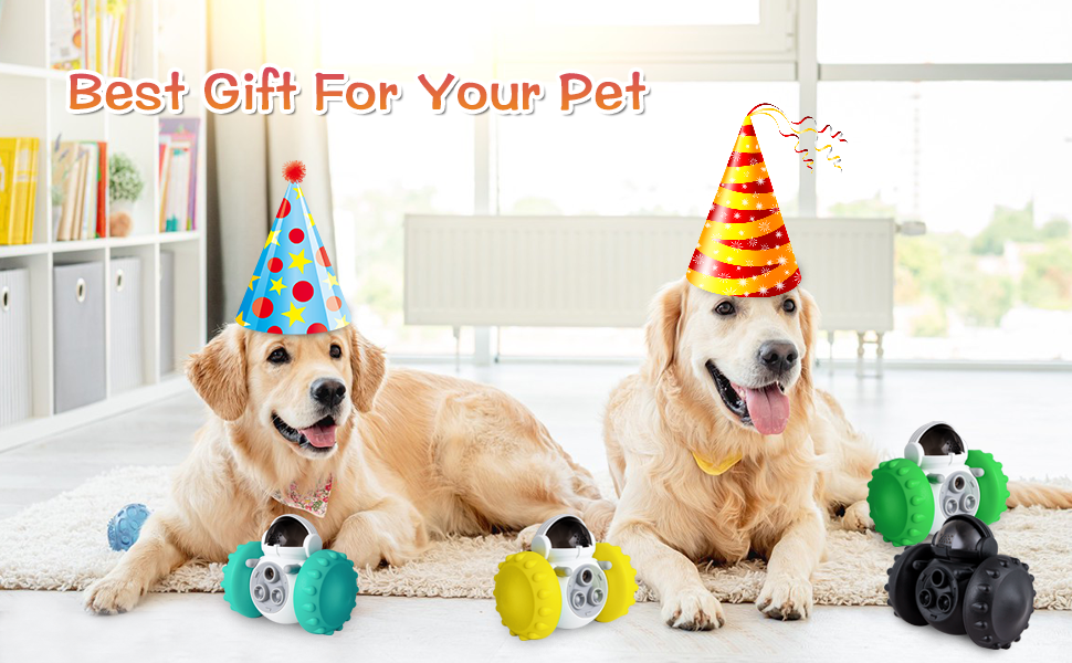 best gift for your dog 