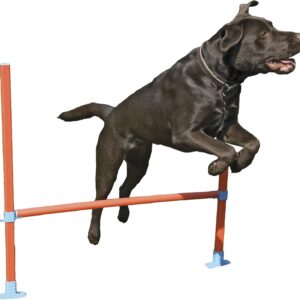 Rosewood Dog Agility Hurdle includes Bag,Orange/Blue