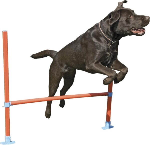 Rosewood Dog Agility Hurdle includes Bag,Orange/Blue