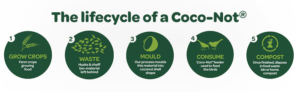 peckish coco-nots lifecycle