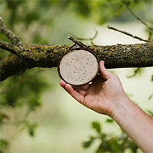 peckish coconot