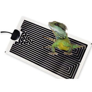 reptile heat mat