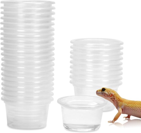 DERNORD Gecko Feeding Ledge Plastic Bowl - 5x3CM 30PCS Reptile Water Dish Suction Bowl Bearded Dragon Leopard Crested Gecko Accessories for Vivarium