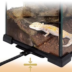 Reptile Heating Mat 6