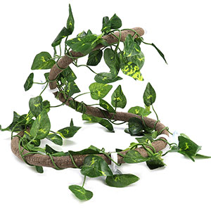 SOONHUA Reptile Vines