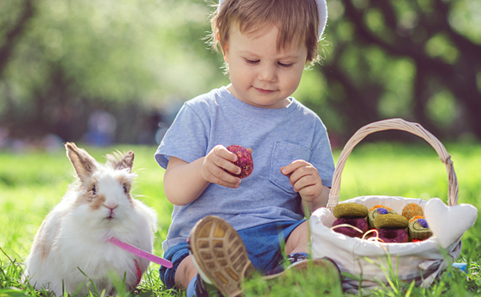 rabbit chew toys