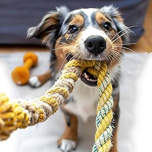 dog ropes toys