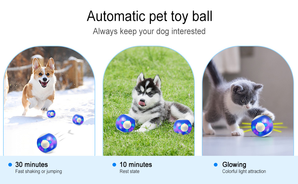 pet toy ball