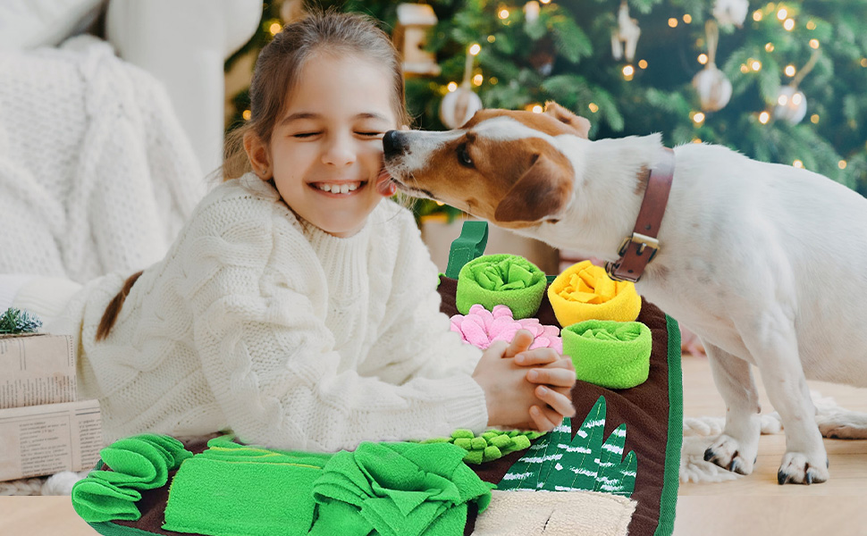 snuffle mat for dogs