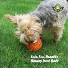 Pet-Fun Pomelo Small Dog Ball Toy