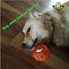 Pet-Fun Large Pomelo Dog Treat Ball Toy