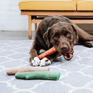 dog with Petstages alternative dog chew