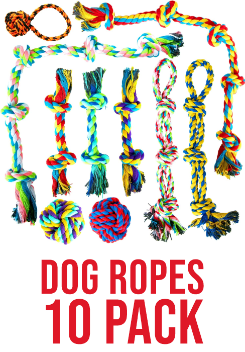 dog ropes