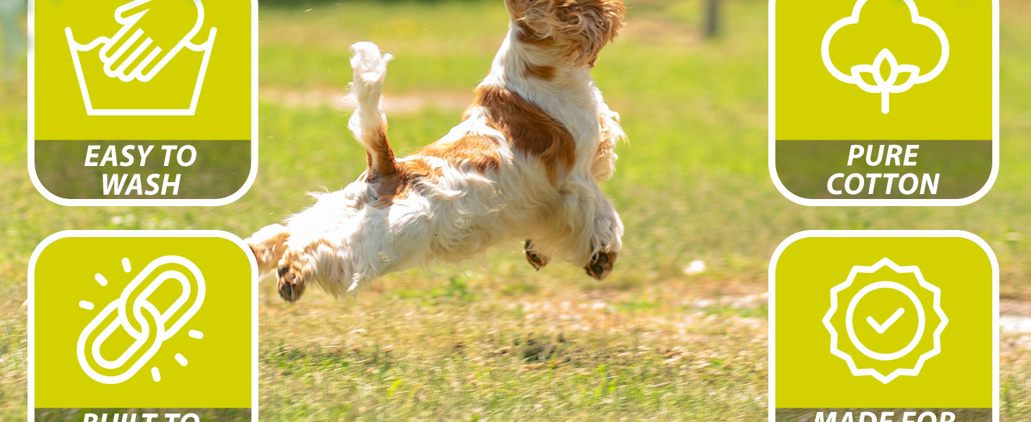 dog chew toys for boredom