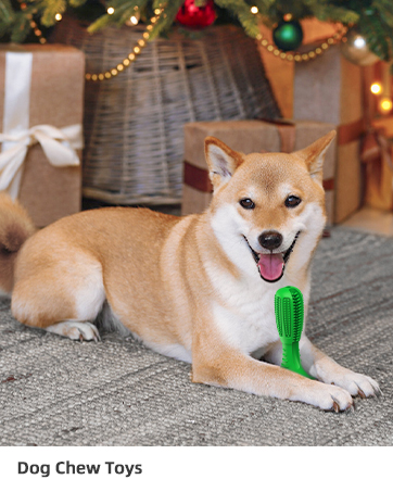 dog chew toys