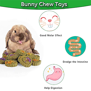  Rabbit Chew Toys