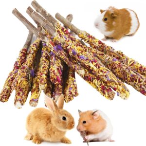 Abizoo Bunny Chew Toys for Rabbits,18PCS Natural Apple Wood Sticks with Petals Good for Chinchillas Guinea Pig Hamster Teeth Care, Bunny Pops Small Pet Treats Teething Toys| Natural Organic Safe