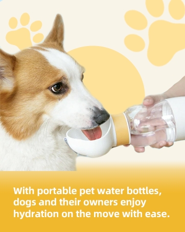 dog water bottle