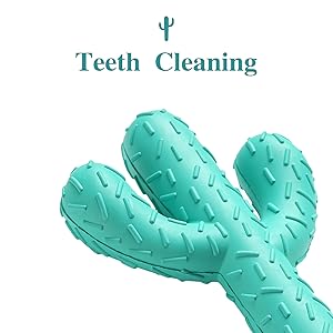 Dog Teeth Cleaning