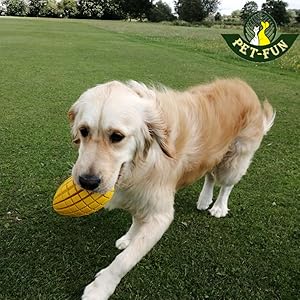 Pet-Fun Mango Dog Toy