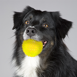 Ousiya 6 Pack Squeaky Dog Balls for Small Medium and Large Dogs, 9 cm Spiky Dog Balls