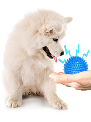 Ousiya 6 Pack Squeaky Dog Balls for Small Medium and Large Dogs, 9 cm Spiky Dog Balls