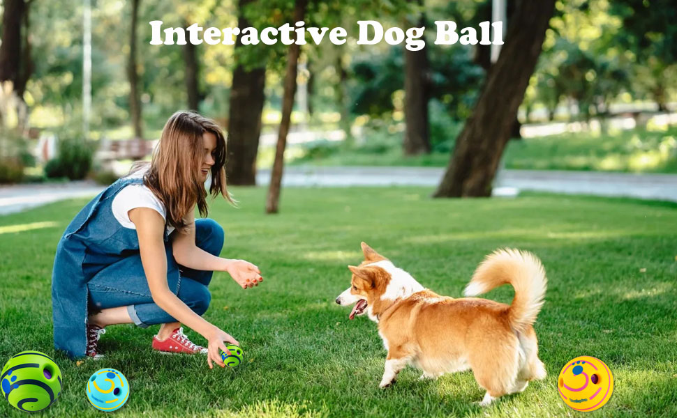 Interactive Dog Ball