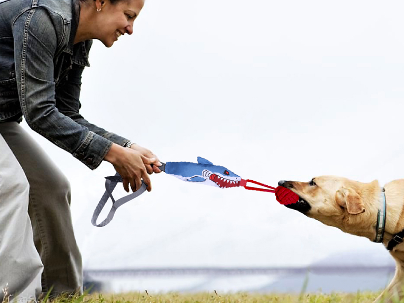 Squeaky Dog Rope Toys