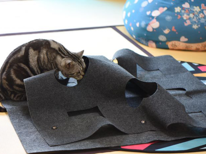 CAT PLAY MAT