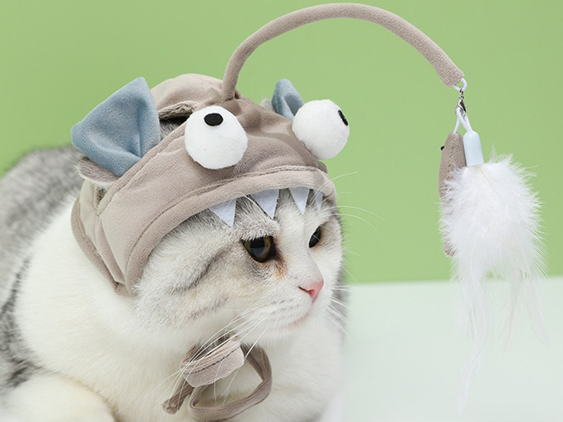 Head-Mounted Cat Toy