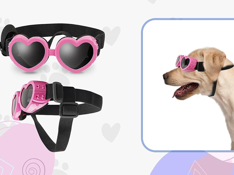 Small Dog Sunglasses