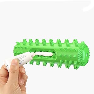 Dog Toothbrush Toy