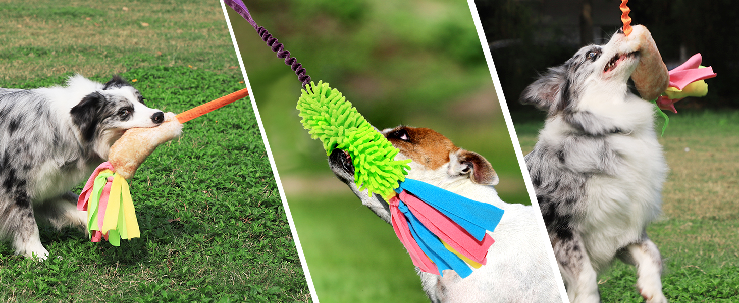 Squeaky Tug of War Toys for Puppy Small Medium Large Dogs