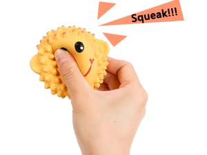 Squeaky Dog Toys