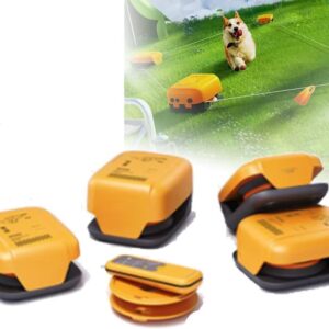 DISHENGZHEN Dog Agility Training Equipment Set for Outdoor Games and Interactive Exercises to Keep Your Pet Healthy and Active