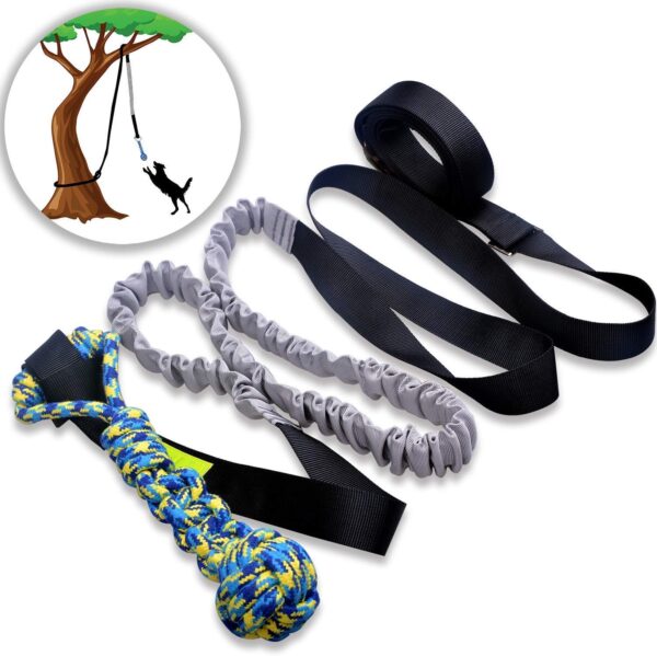 Dog Outdoor Bungee Hanging Toy, Interactive Tether Tug Toy for Pitbull & Small to Large Dogs to Exercise & Solo Play, Durable Tugger for Tug of War, with Chew Rope Toy