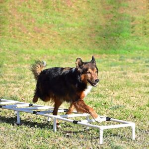 Dogs Agility Training Ladder Pet Play Run Obstacle Portable Outdoor Sports Exercise Equipment Practice Jump Hurdle with Carrying Bag