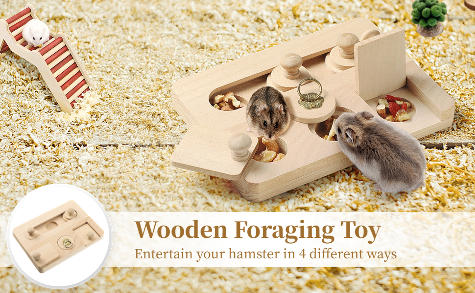 Guinea Pig Foraging Toys