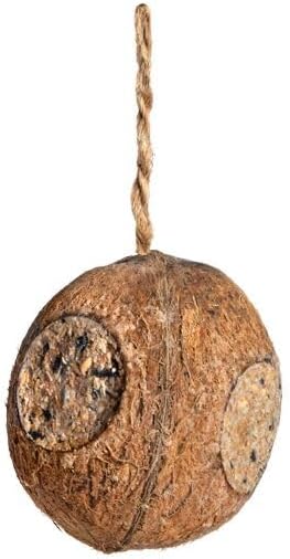 Erdtmann Vegan Stuffed Coconut for Wild Birds - Pack of 1 Coconut Halves for Birds - Ideal for Year-Round Feeding and Easy Food Intake