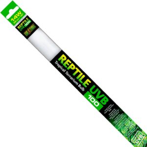 Exo Terra Reptile UVB100, 380 mm, 14 W Bulb for Terrariums, Green