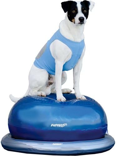 FitPAWS Donut Dark Blue for Dog Fitness and Agility by