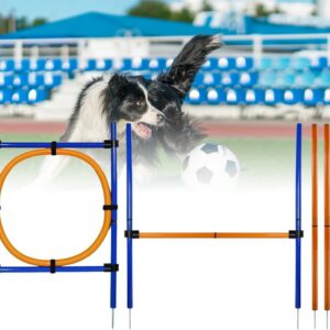 HLGKBY 28 Piece Dog Agility Equipments, Obstacle Courses Training Starter Kit, Pet Outdoor Games for Backyard Includes Jumping Ring, High Jumps, Slalom Poles with Carrying Case, Building mutual trust