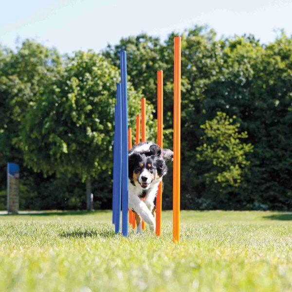 HLGKBY Dog Agility Weave Poles Dog Agility Training Equipment Keep Pets Healthywith Adjustable Spacing for Dog Obstacle Course Outdoor