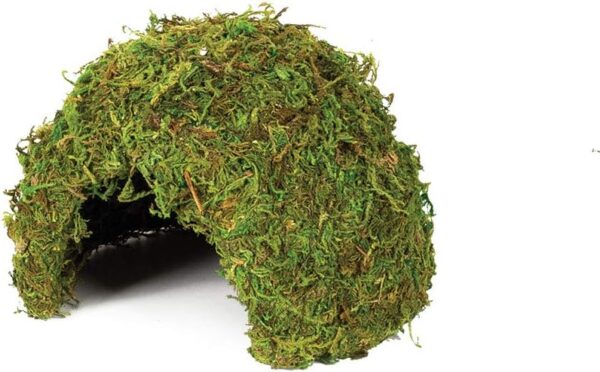 Komodo Medium Natural Moss Cave for Reptiles - M