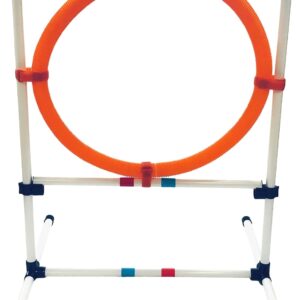 Midlee Dog Agility Hoop Jump- Pet Ring Equipment Training Portable Obstacle Course