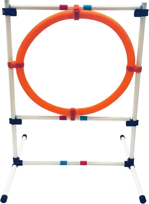 Midlee Dog Agility Hoop Jump- Pet Ring Equipment Training Portable Obstacle Course