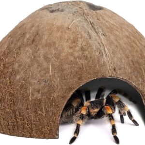 Niteangel 2 Pack Natural Coconut Reptile Hideouts, Lizard, Spider and Aquarium Fish Hide Cave (Natural Surface)