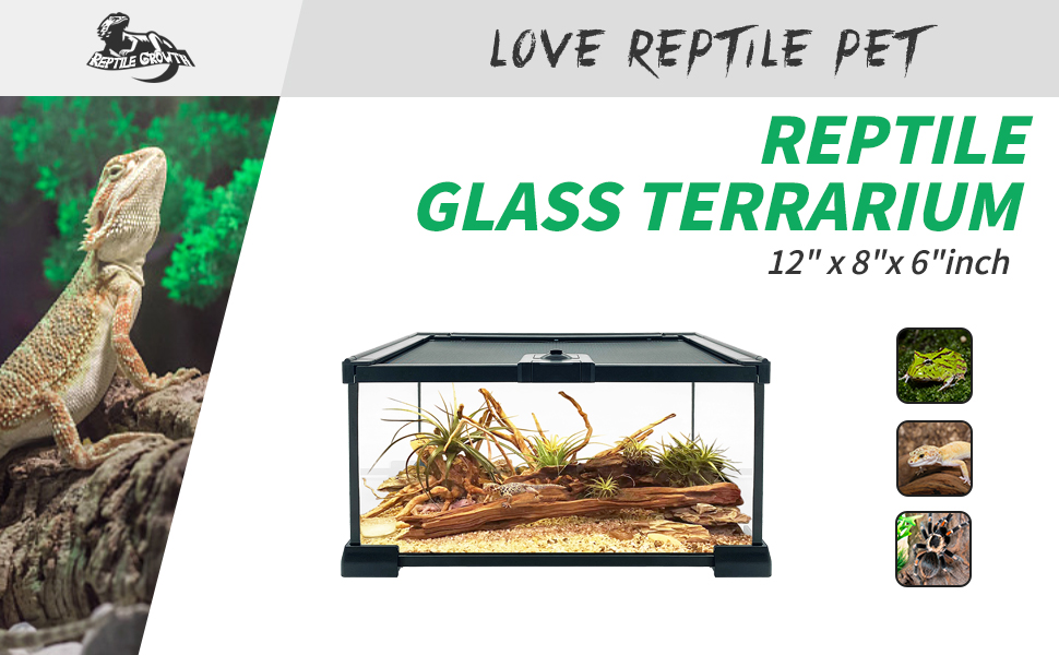 reptile glass tank