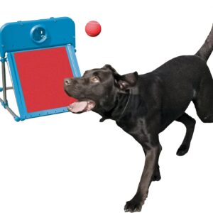 Rosewood Dog Agility Flyball,red/blue