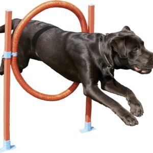 Rosewood Dog Agility Jump includes Bag